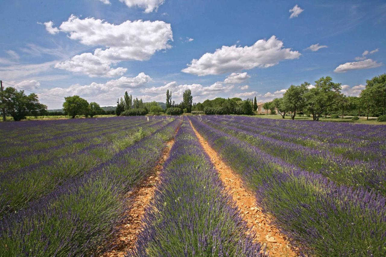 Gites Dans Mas En Pierres Robion en Luberon Екстериор снимка